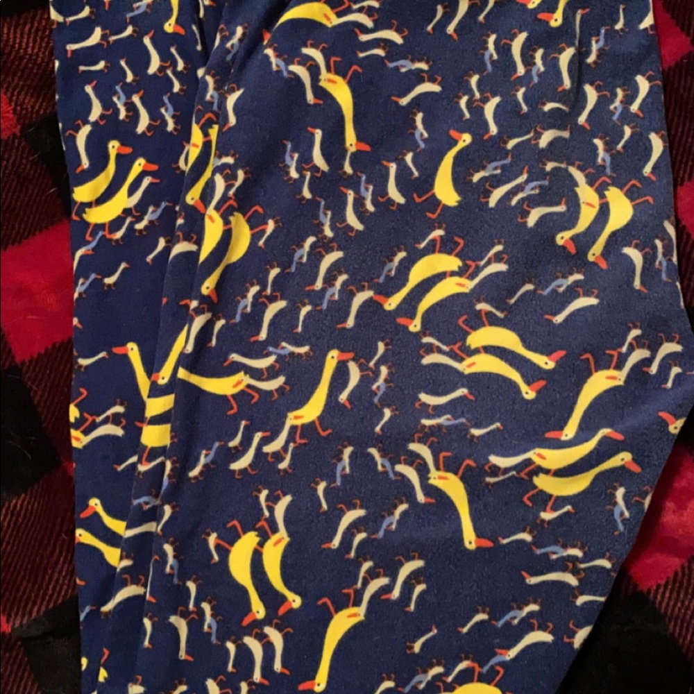 Lularoe leggings